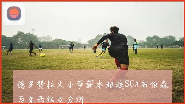 德罗赞拉文小萨薪水超越SGA布伦森马克西组合分析
