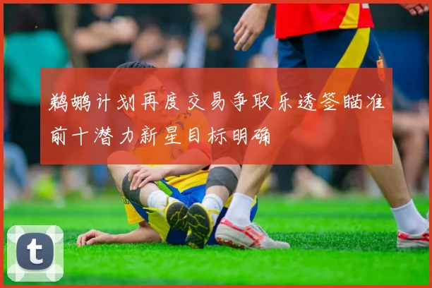 鹈鹕计划再度交易争取乐透签瞄准前十潜力新星目标明确