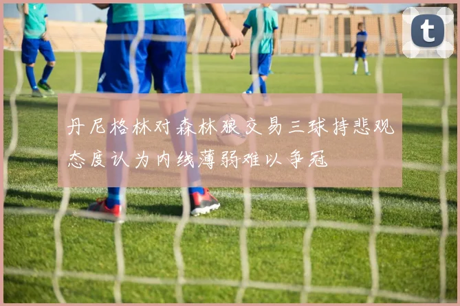 丹尼格林对森林狼交易三球持悲观态度认为内线薄弱难以争冠